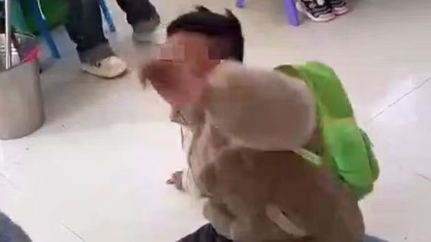 河南幼儿园女老师虐待男童事件引发关注，官方迅速行动涉事人员被开除